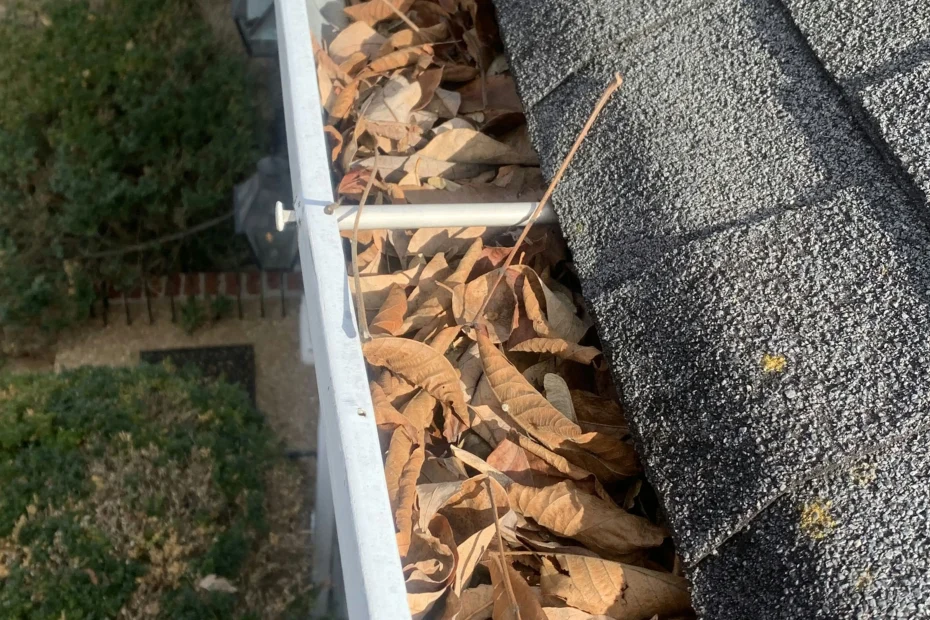 Gutter Cleaning Bala Cynwyd